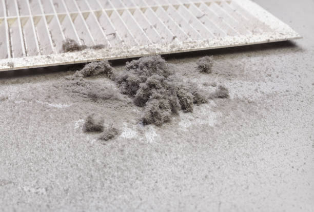 Best Air Duct Cleaning Near Me  in Longbranch, WA