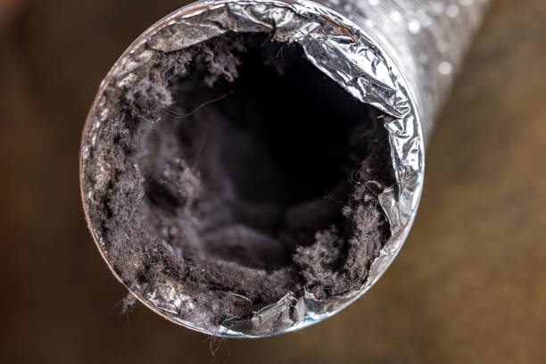 Best Local Air Duct Cleaning Services  in Longbranch, WA
