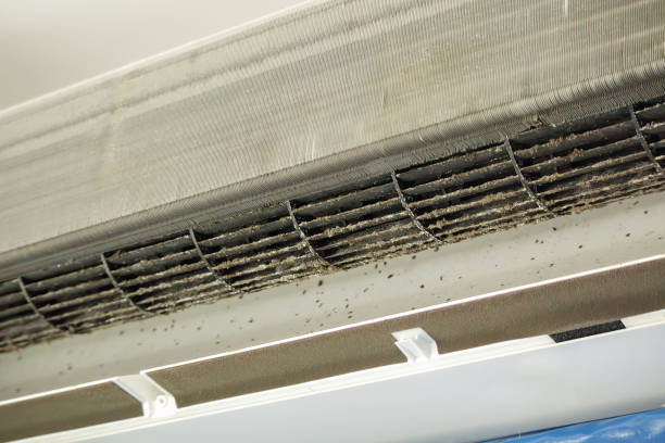 Best Affordable Air Duct Cleaning  in Longbranch, WA